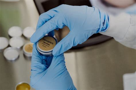 CBD-Unternehmen erhält Förderung des Wirtschaftsministeriums - Hanf ...