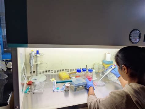 Govind Ballabh Pant University