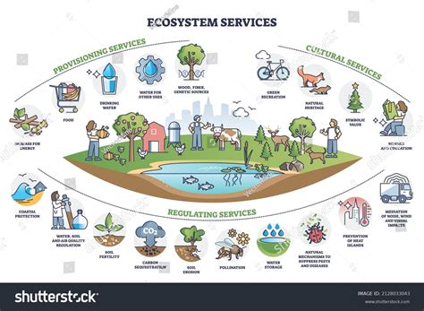 Ecosystem Graph 的图像结果