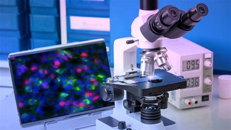 Most Powerful Microscope 的图像结果