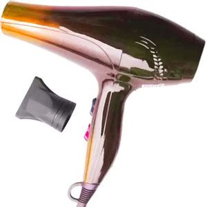 pritam global traders Salon professional design salon hair dryer hear ...