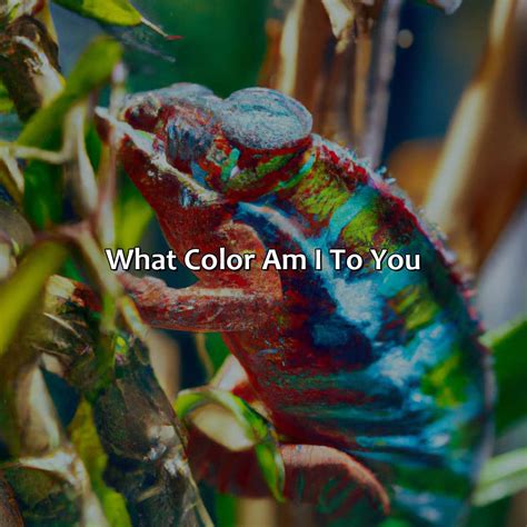 What Color Is Marine - colorscombo.com