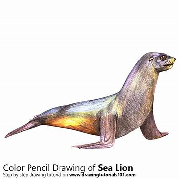 tutorial landscape drawing tutorial for beginners pencil