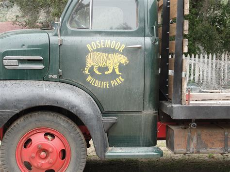 Rosemoor Wildlife Park