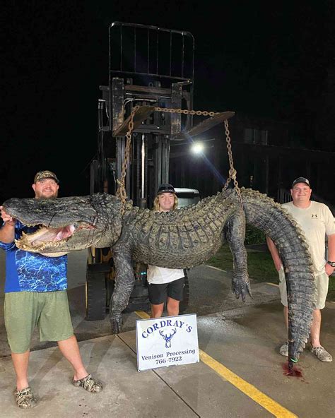 Worlds Largest Crocodile Ever Caught