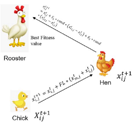 Image result for Chicken Swarm Optimization Algorithm