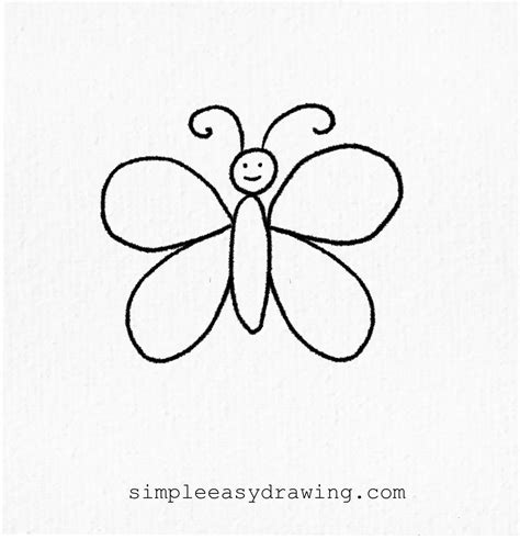 How to draw a butterfly: Easy step by step tutorial