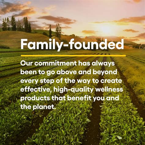 Buy Natural Factors, Quercetin LipoMicel Matrix for Superior Absorption ...