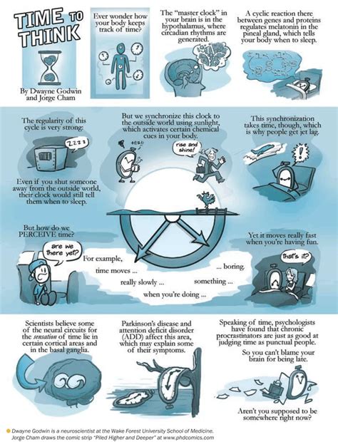 How body keeps track of Time?-pics. – Ramanisblog