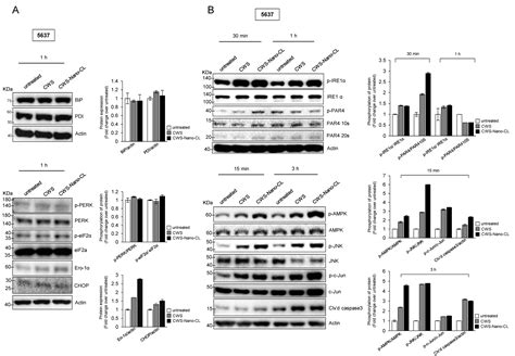 Liposome-Encapsulated Bacillus Calmette–Guérin Cell Wall Skeleton ...