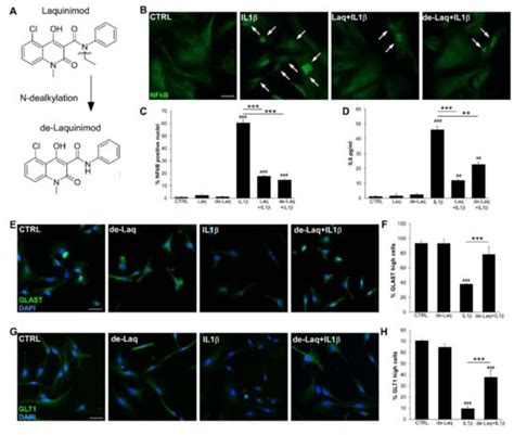Laquinimod Modulates Human Astrocyte Function and Dampens Astrocyte ...
