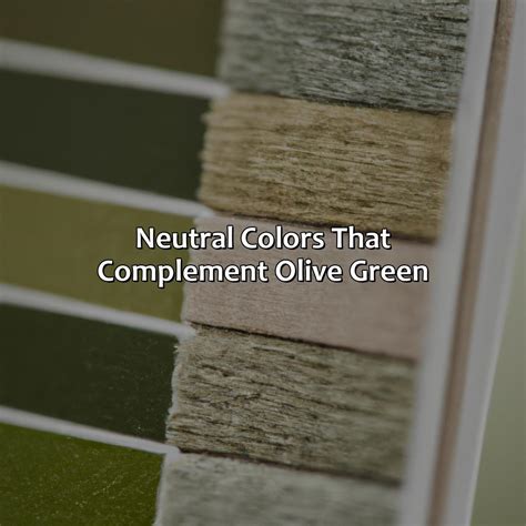 What Color Compliments Olive Green - colorscombo.com