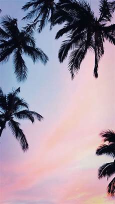 Aesthetic Cool Background For Iphone Xr by 21 Pretty Wallpapers For Your New Iphone Xs Max Sunset Aesthetic Cool Background For Iphone Xr