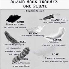 signification des plumes signification des plumes message de nos guides anges signification des plumes signification des plumes message de nos guides anges