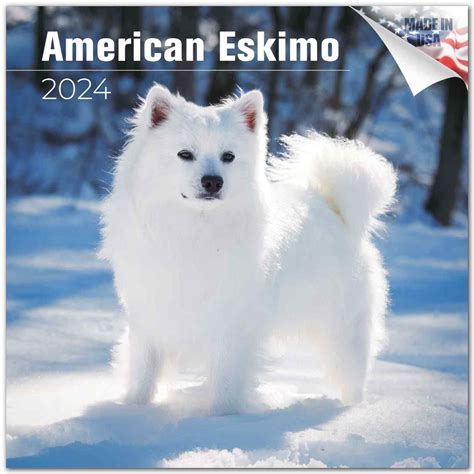 Alaskan Eskimo Dog
