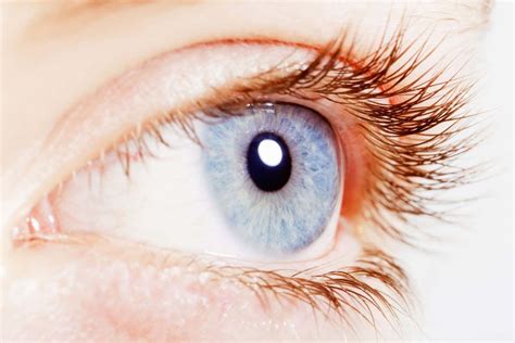 Blue eyes may be better for reading in dim light than brown eyes ...