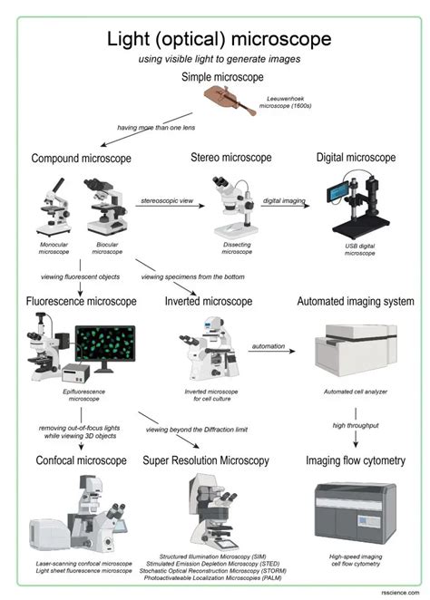 Different types of Microscopes – light microscope, electron microscope ...