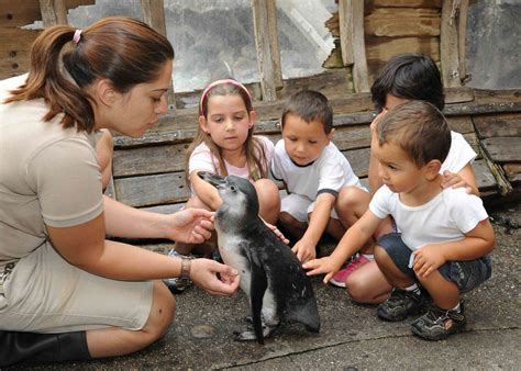 Wines in the Wild at Brookfield Zoo | Enjoy Illinois