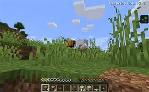 Image result for How to Play Minecraft Java without Demo Timer