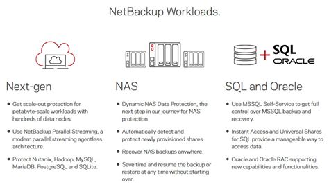Image result for Veritas NetBackup Process Flow Chart