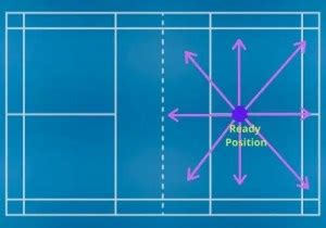 Badminton Ready Position 的图像结果
