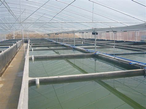 改善水质-水产养殖池塘为什么要进行底质改良呢？ - 知乎