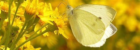 McAdams Mortuary | Paoli IN funeral home and cremation