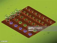 Vegetable Garden High Res Vector Graphic Getty Images