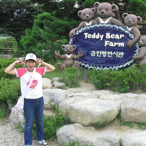 TEDDY BEAR FARM (2025) All You Need to Know BEFORE You Go (with Photos ...