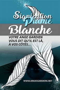 signification des plumes signification plume blanche signification des plumes signification plume blanche