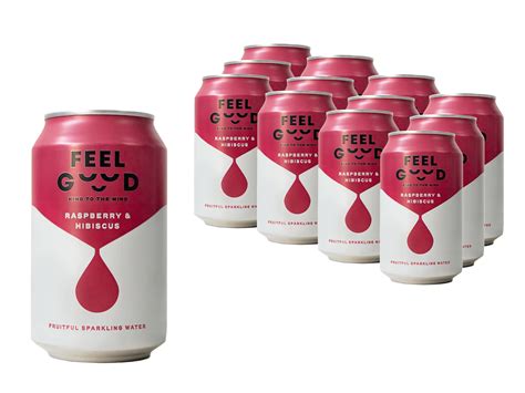 Feel Good Drinks Raspberry And Hibiscus 12 Pack Sparkling Flavoured ...