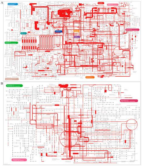 Integrated Metagenomics and Network Analysis of Metabolic Functional ...