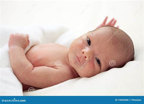 One week old baby boy stock photo. Image of looking, child - 19053848