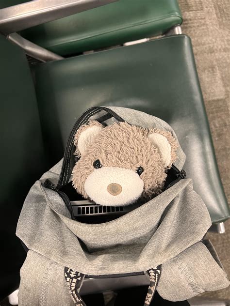 Hi my name is Chonklit! I’m a little bear. Put my in your backpack; Take me everywhere. 🎶🎵🌎 : r ...