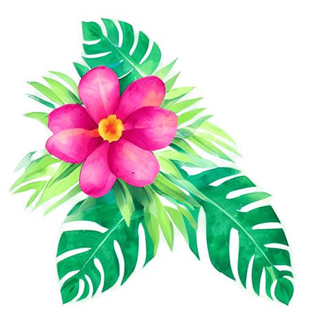 Tropical Watercolor Flower Swag Realistic Clipart · Creative Fabrica