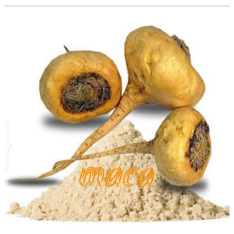 Maca En Polvo en PERUVIAN EXPORT de Perú - ppfam.com