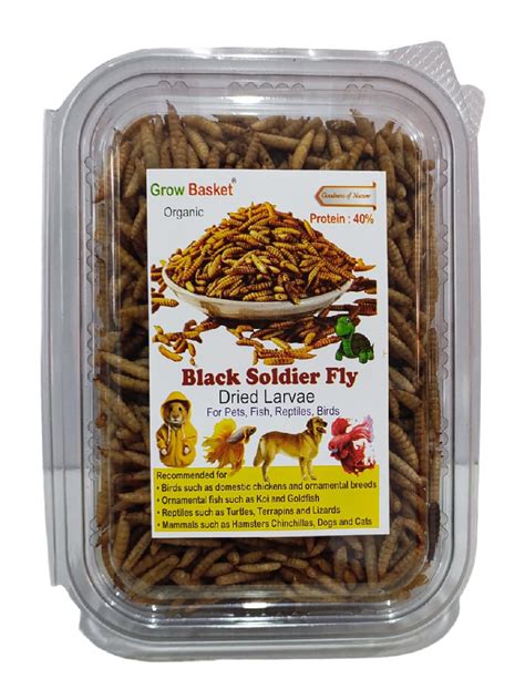 Dry Black Soldier Fly Larva Protein Rich Fish Food for Arowana, Flower ...
