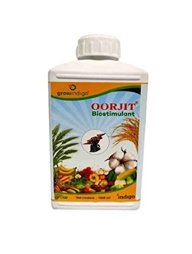 GROW INDIGO Oorjit Liquid Seaweed based Foliar Biostimulant 1000ml | M ...