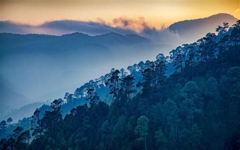 Ranikhet | India Cine Hub