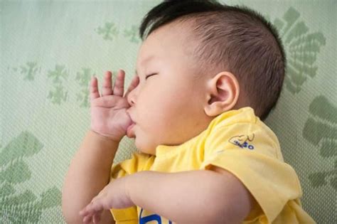婴儿睡觉不踏实一惊一诈（为什么有些婴幼儿睡觉睡得不安稳还总把自己吓醒呢）-幼儿百科-魔术铺