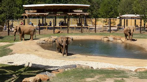 Best Zoos, Wildlife Parks and Petting Zoos Around Atlanta - NEW Atlanta Parent