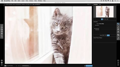 Image result for On1 Tutorials Remove
