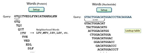 Blast Biotechnology Example 的图像结果