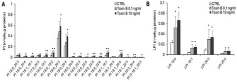 PhosphoLipidome Alteration Induced by Clostridioides difficile Toxin B ...
