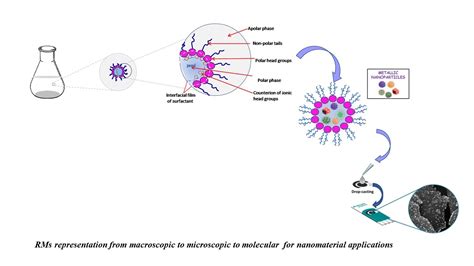Versatility of Reverse Micelles: From Biomimetic Models to Nano (Bio ...