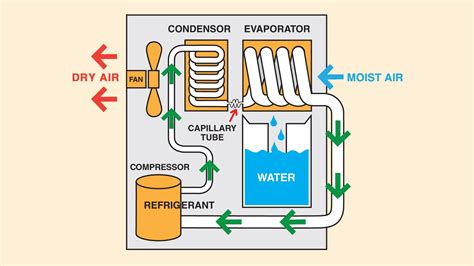 Why Home Humidity Should Be Removed With Dehumidifier | My Decorative