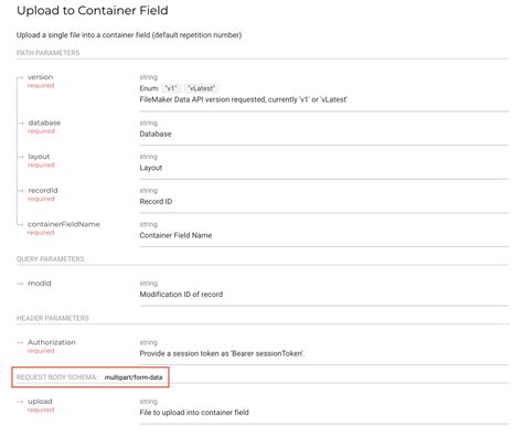 Image result for Data API FileMaker Example