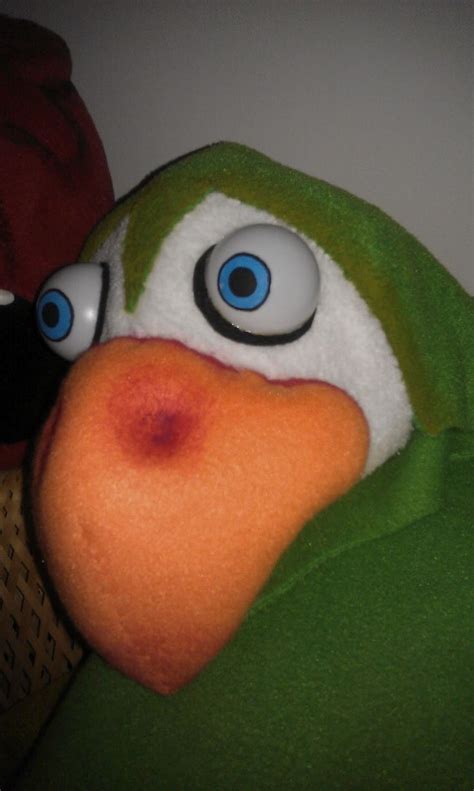 Parrot Puppet 的图像结果