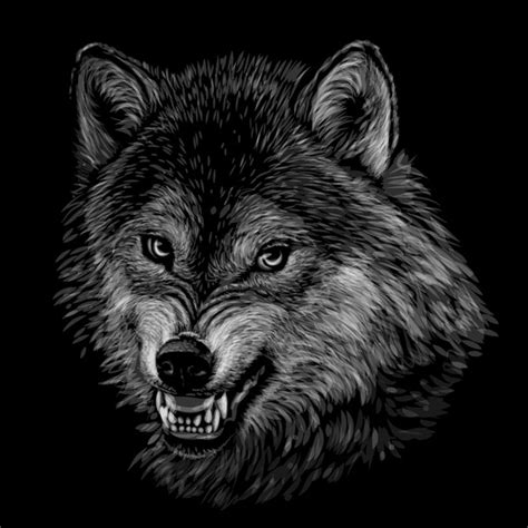 2,495 Angry Wolf Eyes Images, Stock Photos, 3D objects, & Vectors | Shutterstock