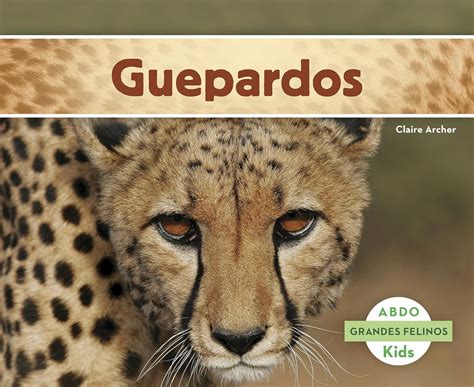 Guepardos/ Cheetahs (Abdo Kids: Grandes Felinos) : Archer, Claire ...